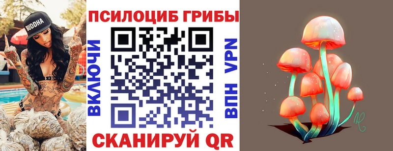 купить наркоту  Шиханы  Галлюциногенные грибы мицелий 